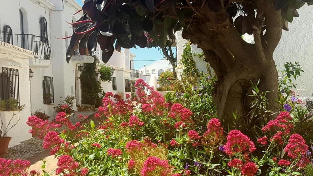 Apartamento Capistrano Village Nerja Exterior photo